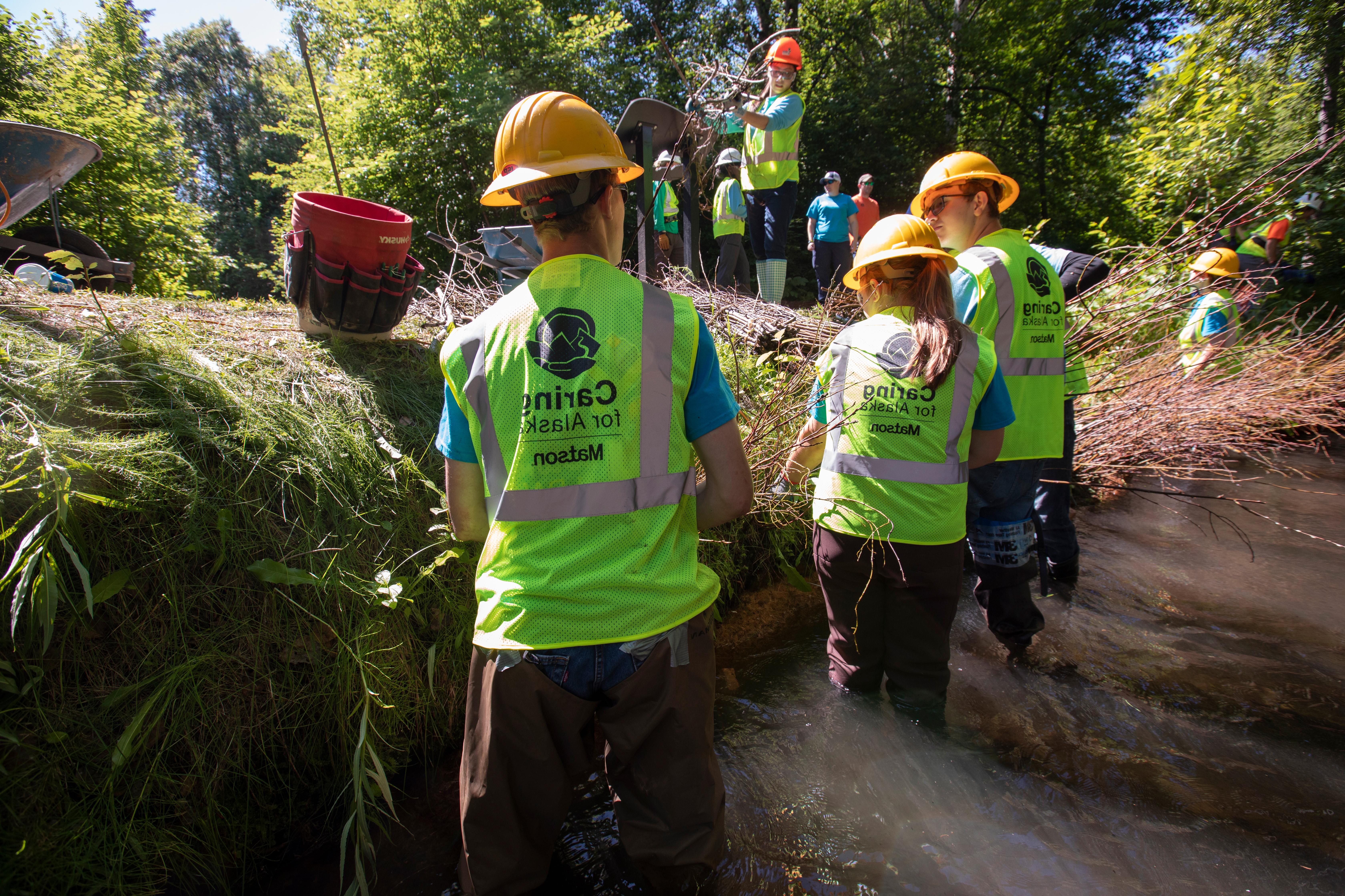 青年就业公园参加者身穿绿色安全背心，头戴黄色安全帽，站在切斯特溪，清除外来入侵物种，进行生境恢复工作.